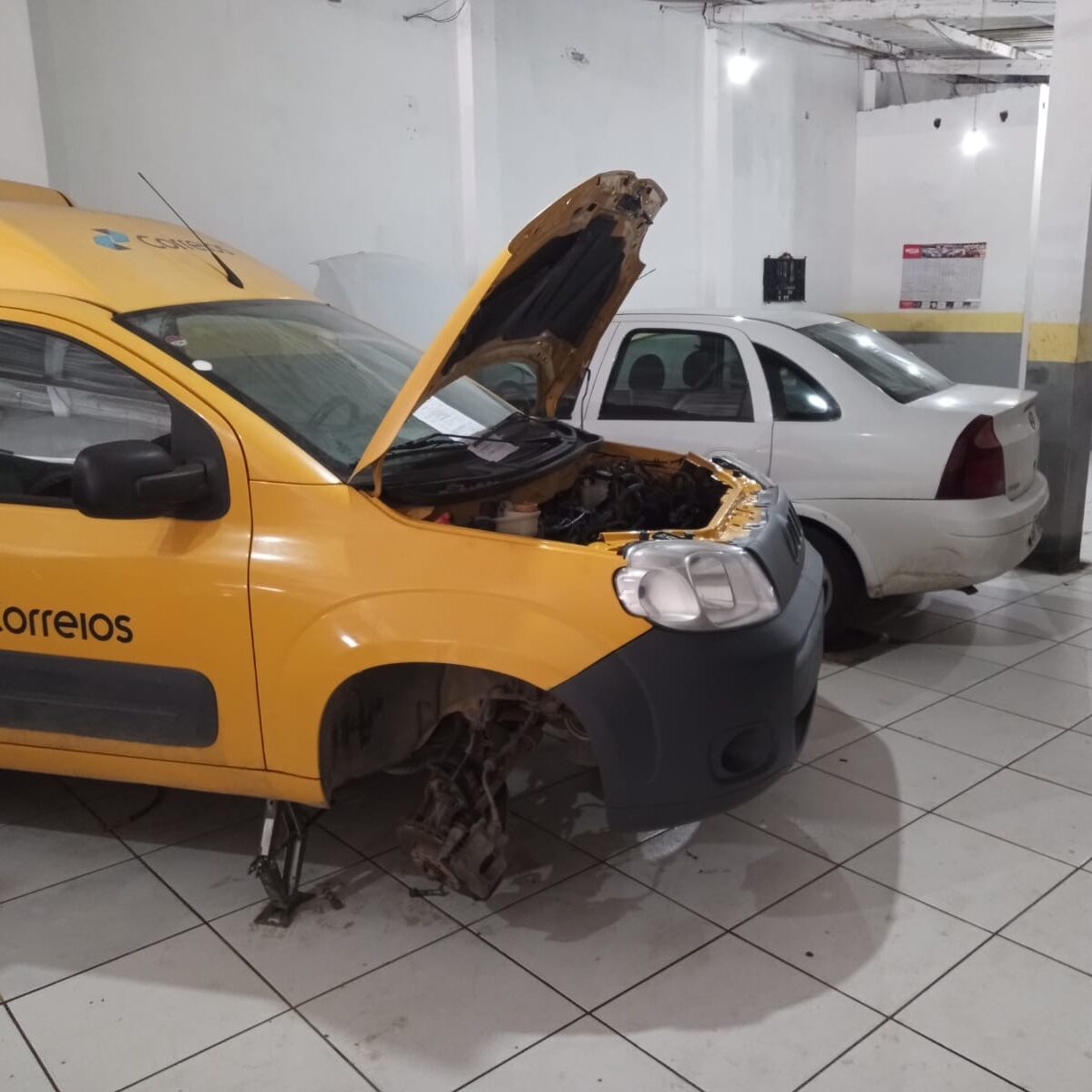 WhatsApp Image 2024-07-03 at 16.50.433